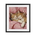 thumbnail image 1 of Stupell Industries Shabby Chic Sleeping Orange Cats Embrace Black Framed Print Under Glass, 13 x 16, by The Prints Vibe, 1 of 8