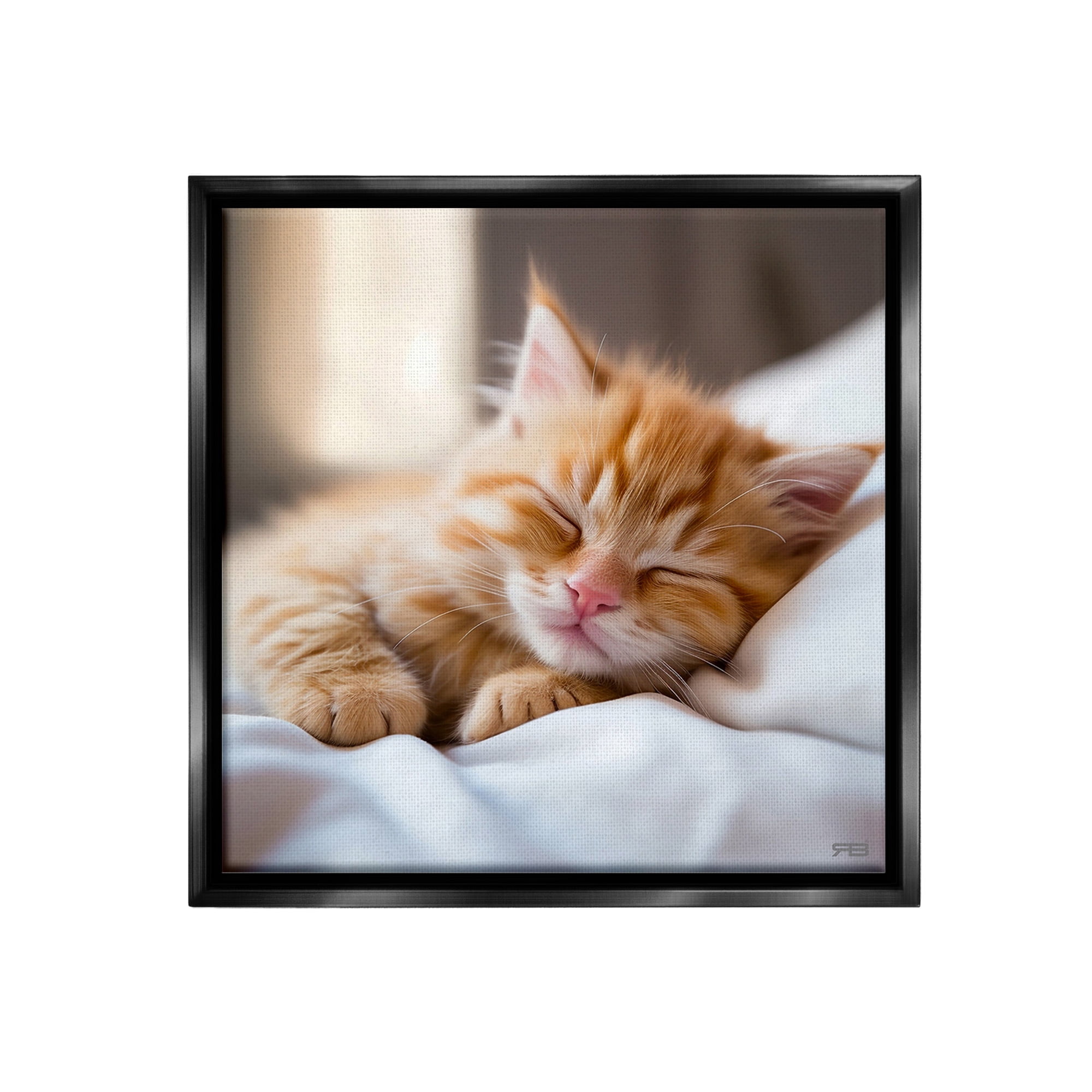 Stupell Industries Sleeping Orange Kitten Animals & Insects Painting Black Floater Framed Canvas Art Print Wall Art, 25 x 25