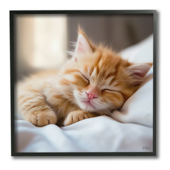 Stupell Industries Sleeping Orange Kitten Animals & Insects Painting Black Framed Art Print Wall Art, 12 x 12