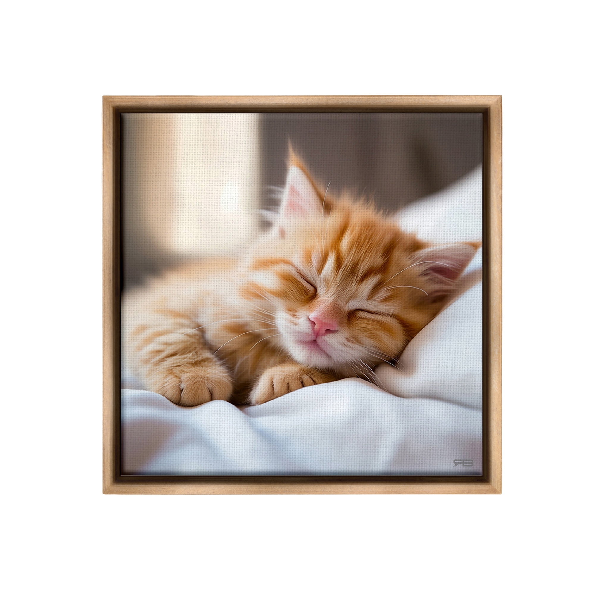 Stupell Industries Sleeping Orange Kitten Animals & Insects Painting Brown Floater Framed Canvas Art Print Wall Art, 25 x 25