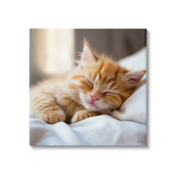 Stupell Industries Sleeping Orange Kitten Animals & Insects Painting Gallery Wrapped Canvas Art Print Wall Art, 17 x 17