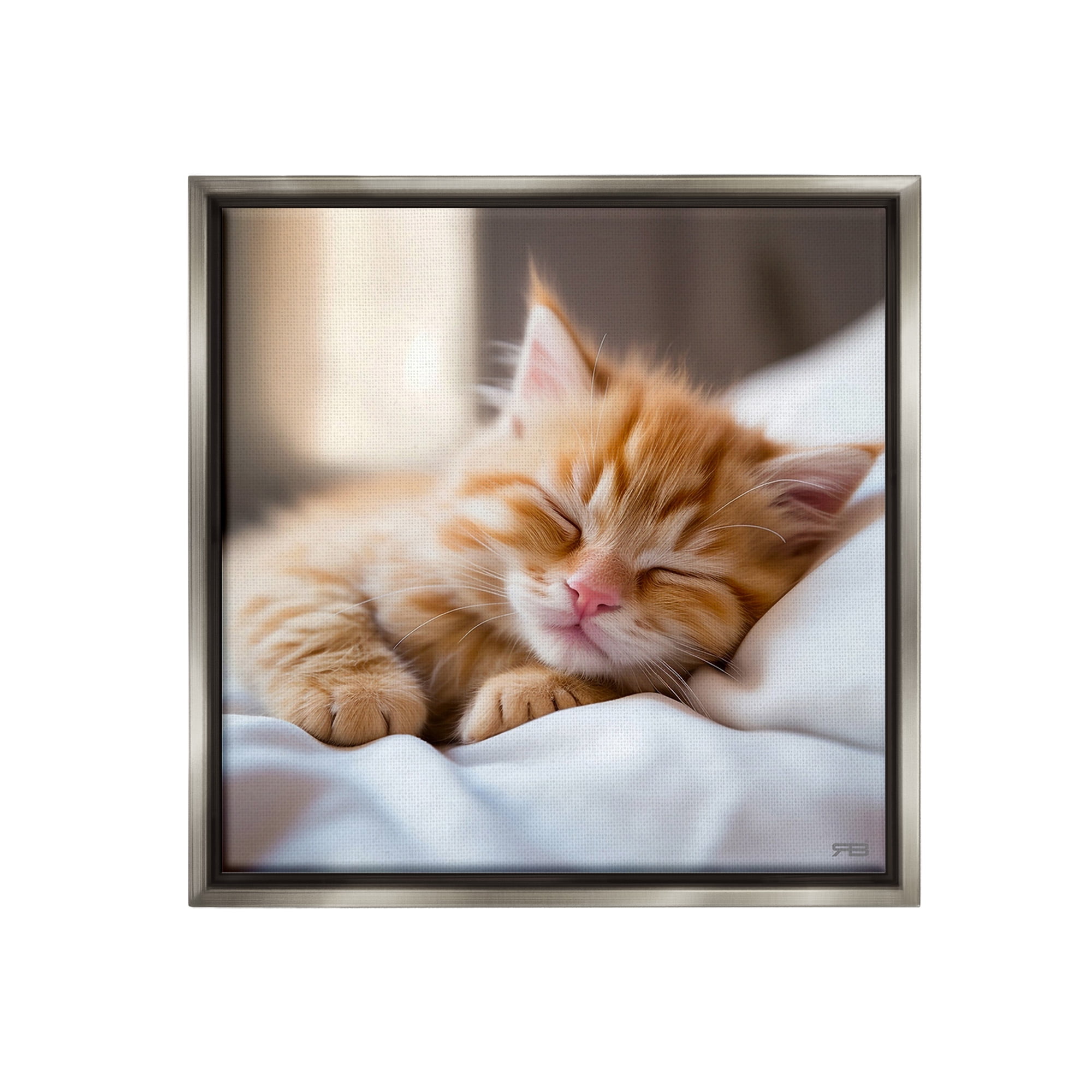 Stupell Industries Sleeping Orange Kitten Animals & Insects Painting Gray Floater Framed Canvas Art Print Wall Art, 25 x 25