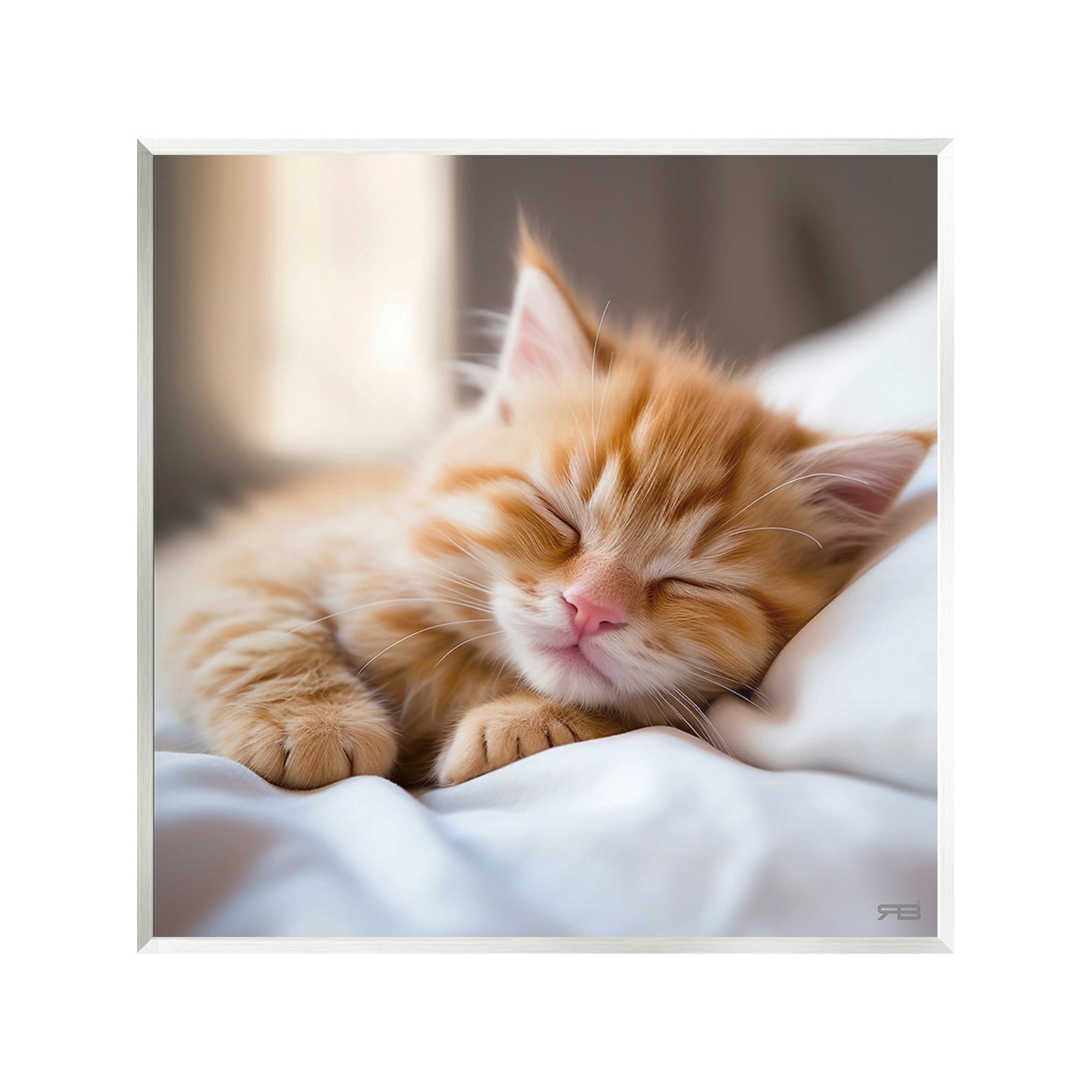 Stupell Industries Sleeping Orange Kitten Animals & Insects Painting Unframed Art Print Wall Art, 12 x 12