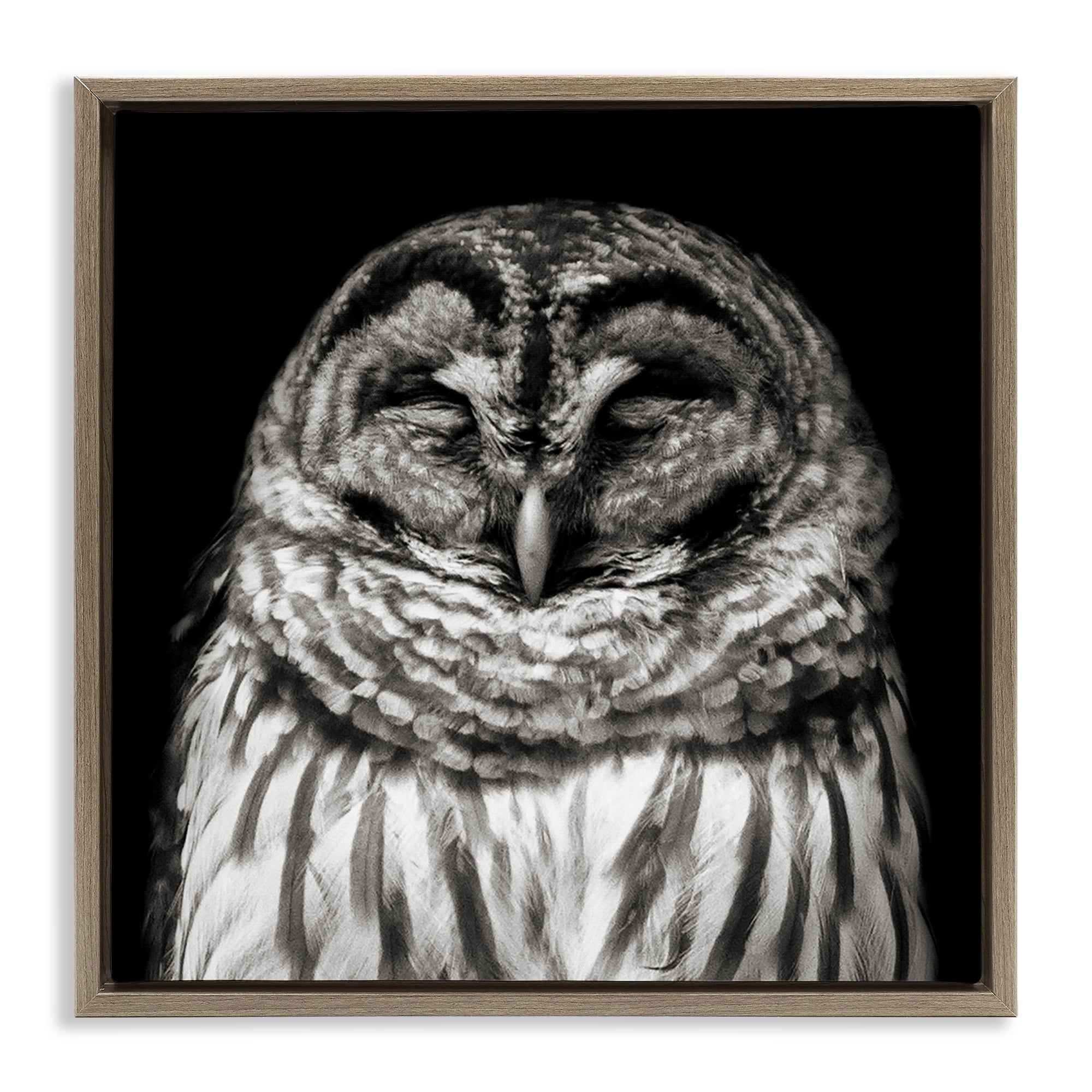 Stupell Industries Sleeping Owl Portrait Animals & Insects Photography Brown Floater Framed Canvas Art Print Wall Art, 18 x 18
