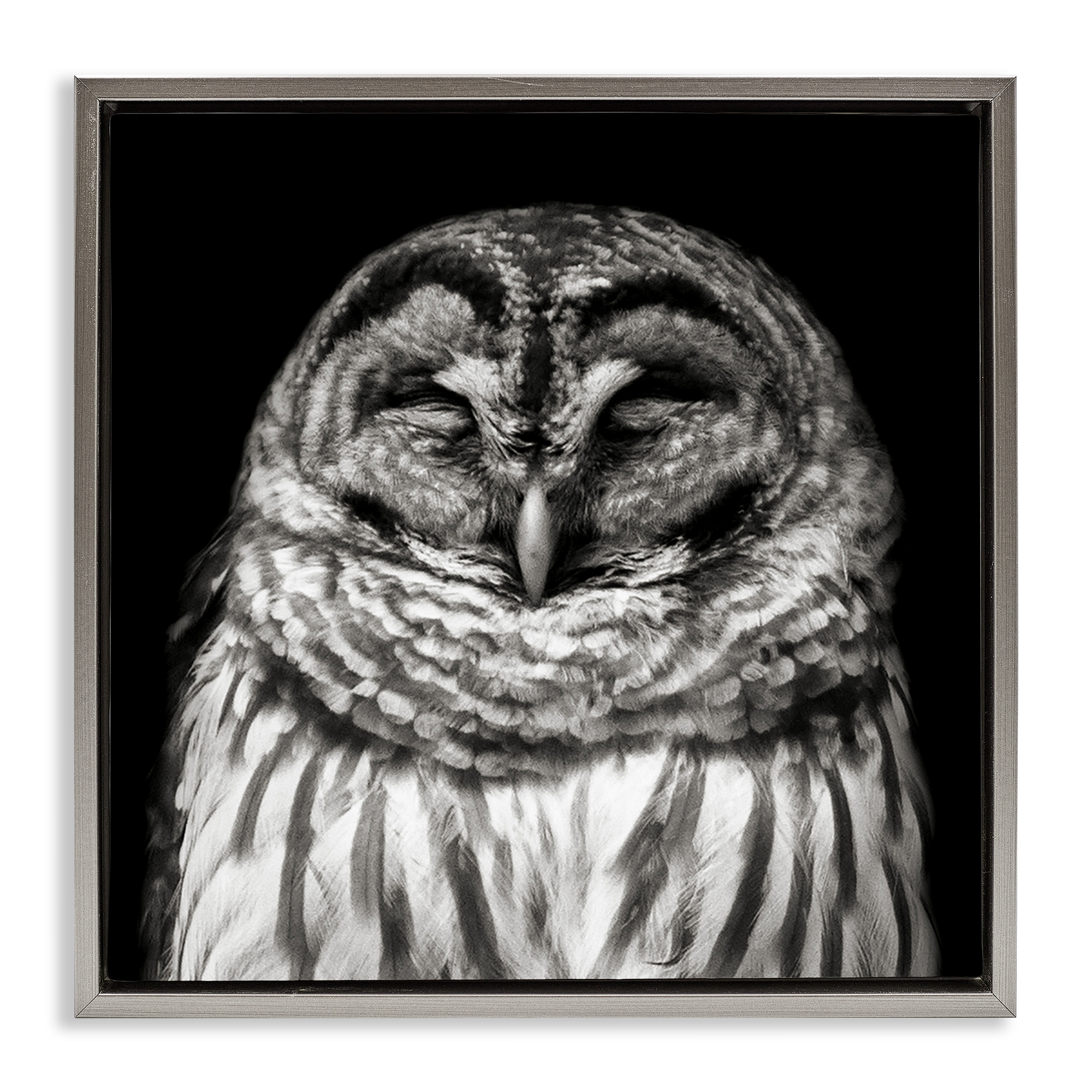 Stupell Industries Sleeping Owl Portrait Animals & Insects Photography Gray Floater Framed Canvas Art Print Wall Art, 18 x 18