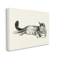 thumbnail image 1 of Stupell Industries Sleeping Striped Cat Minimal Relaxed Pet Canvas Wall Art by Grace Popp, 1 of 6