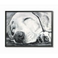 thumbnail image 1 of Stupell Industries Sleepy Dog Pet Animal Watercolor Painting Framed Giclee Texturized Art by George Dyachenko, 1 of 2