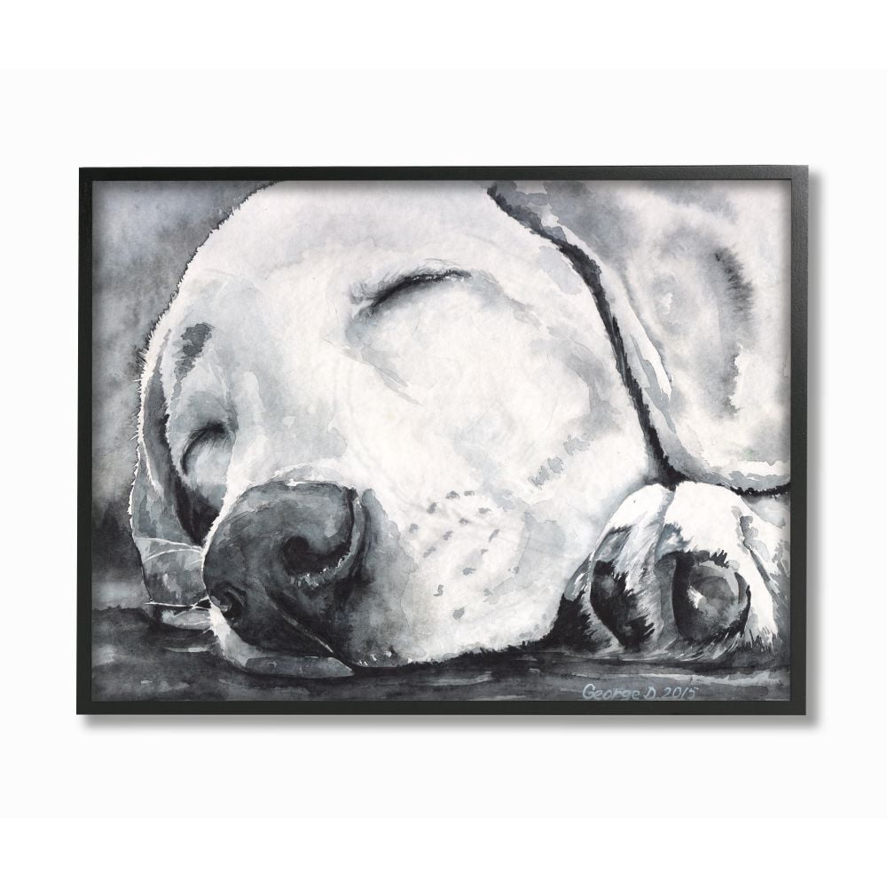 Stupell Industries Sleepy Dog Pet Animal Watercolor Painting Framed Giclee Texturized Art by George Dyachenko