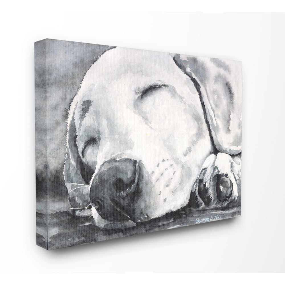 Stupell Industries Sleepy Dog Pet Animal Watercolor Painting Super Canvas Wall Art by George Dyachenko