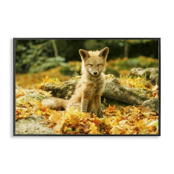 Stupell Industries Sleepy Fall Fox in Autumn Black Framed Giclee Art design by Carrie Ann Grippo-Pike, 12 x 18