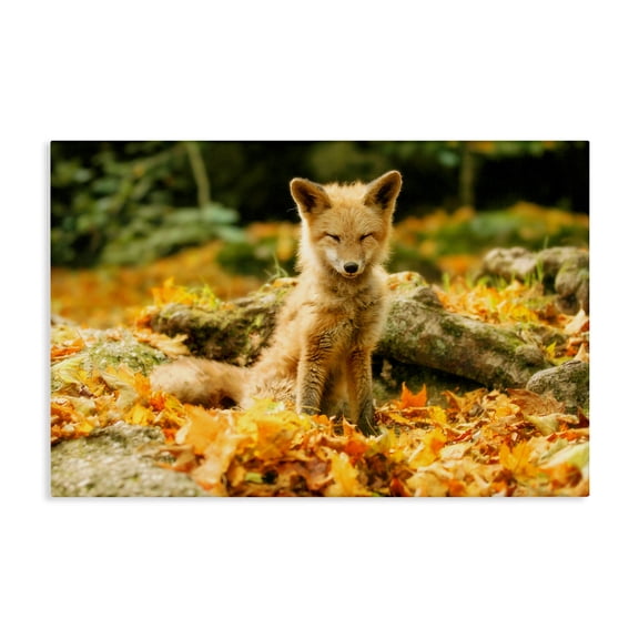 Stupell Industries Sleepy Fall Fox in Autumn Canvas Wall Art design by Carrie Ann Grippo-Pike, 16 x 24