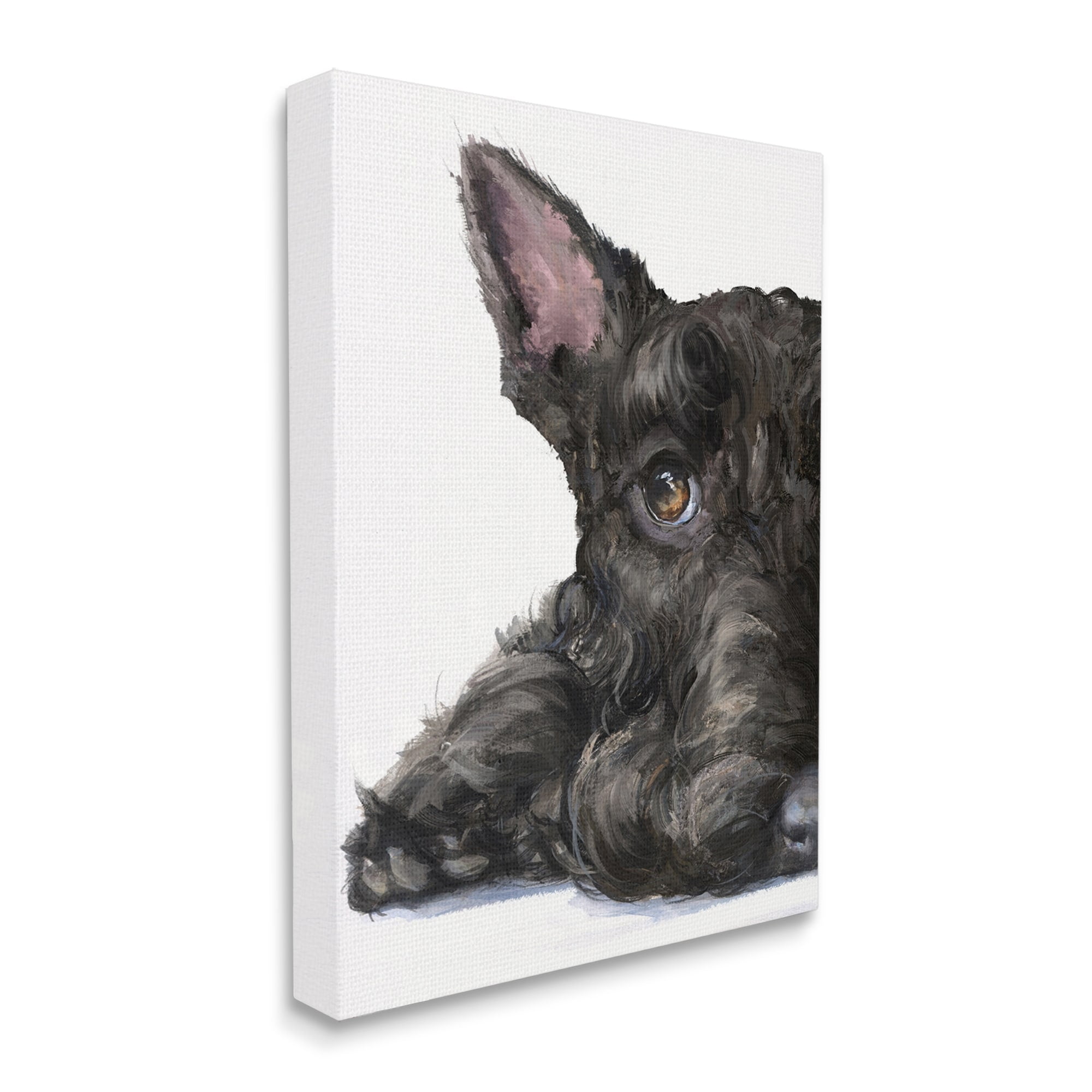 Stupell Industries Sleepy Scottish Terrier Portrait Adorable Pet Dog Canvas Wall Art, 16 x 20, Design by George Dyachenko