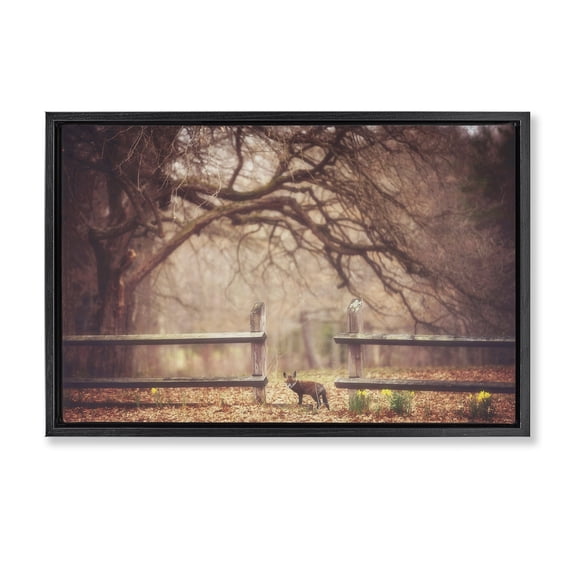 Stupell Industries Sly Guy Fox in Forest Black Framed Floater Canvas Wall Art design by Carrie Ann Grippo-Pike, 17 x 25