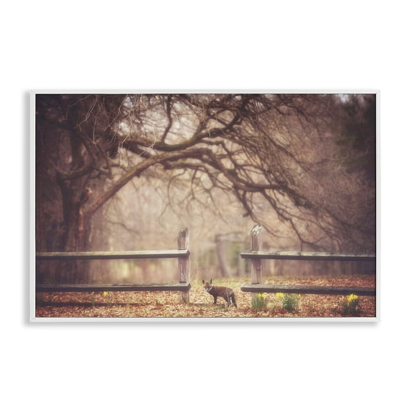 Stupell Industries Sly Guy Fox in Forest White Framed Giclee Art design by Carrie Ann Grippo-Pike, 20 x 30