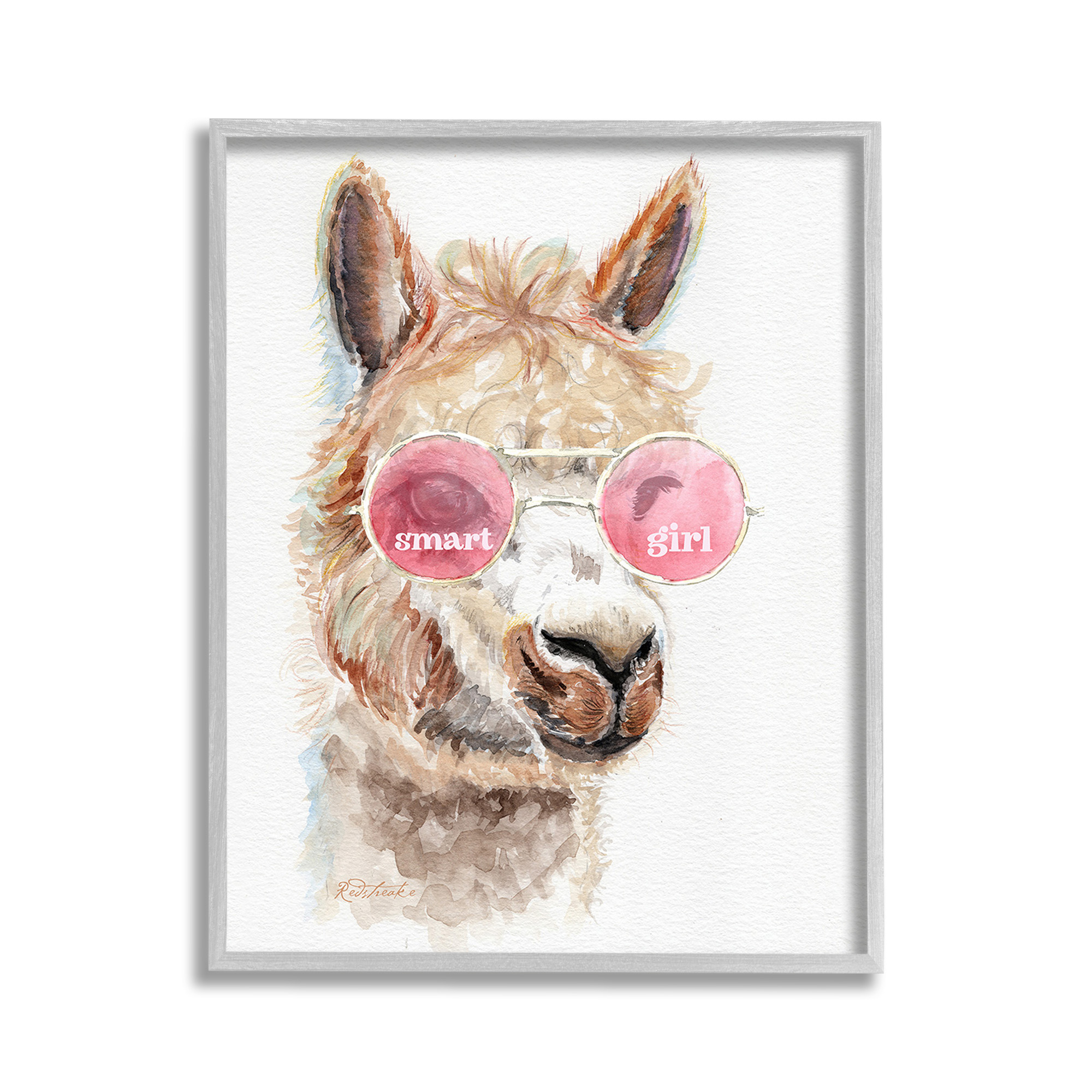 Stupell Industries Smart Girl Llama Animals & Insects Painting Gray Framed Art Print Wall Art, 11 x 14