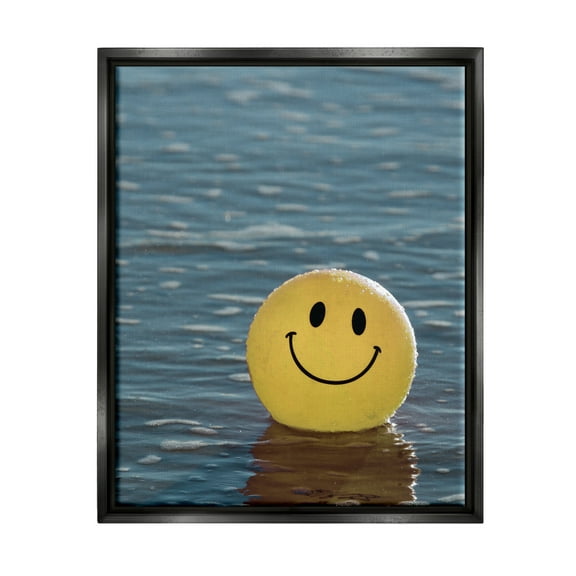 Stupell Industries Smiley Beach Ball Landscape Photography Black Floater Framed Canvas Art Print Wall Art, 17 x 21