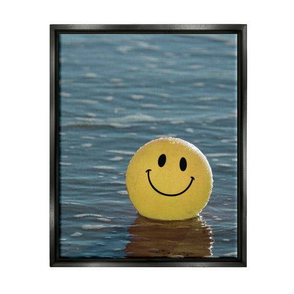 Stupell Industries Smiley Beach Ball Landscape Photography Black Floater Framed Canvas Art Print Wall Art, 25 x 31