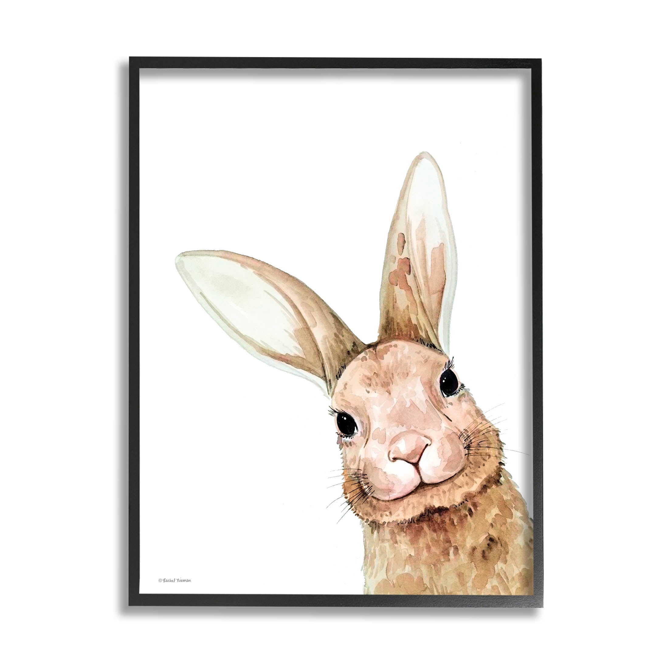 Stupell Industries Smiling Bunny Wildlife Graphic Art Black Framed Art Print Wall Art, Design by Rachel Nieman