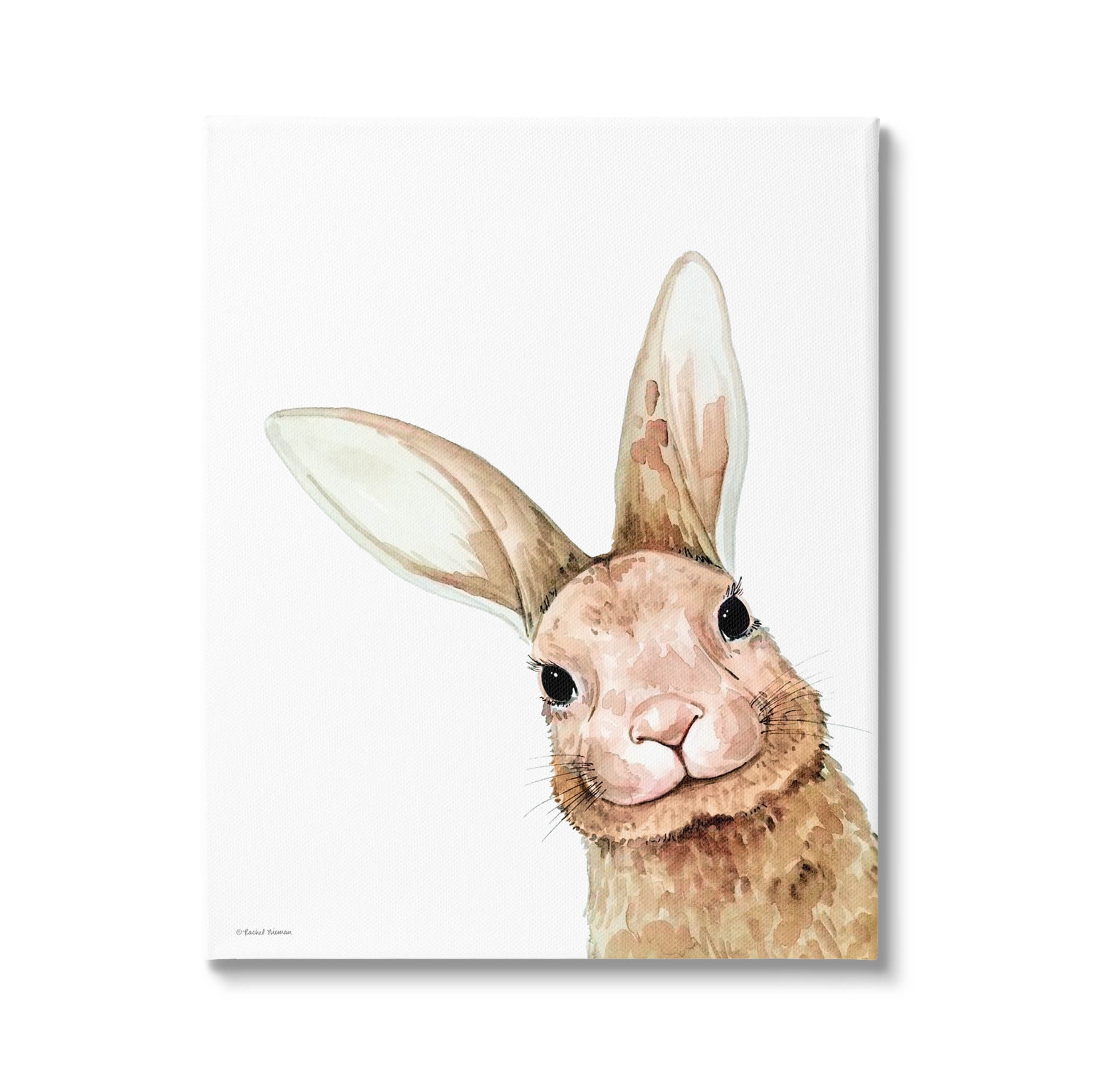 Stupell Industries Smiling Bunny Wildlife Graphic Art Gallery Wrapped Canvas Print Wall Art, Design by Rachel Nieman