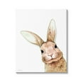 thumbnail image 1 of Stupell Industries Smiling Bunny Wildlife Graphic Art Gallery Wrapped Canvas Print Wall Art, Design by Rachel Nieman, 1 of 7