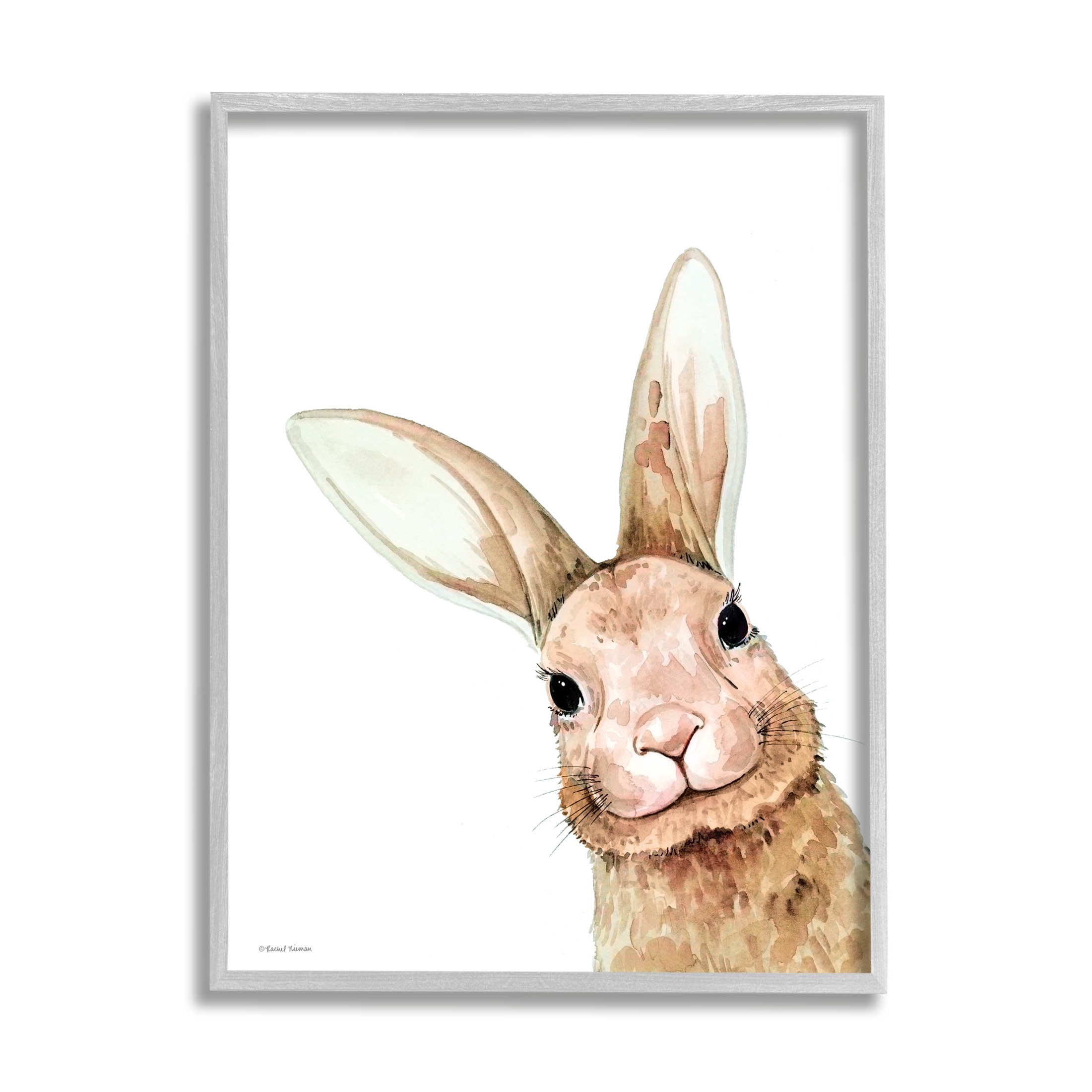 Stupell Industries Smiling Bunny Wildlife Graphic Art Gray Framed Art Print Wall Art, Design by Rachel Nieman