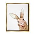 thumbnail image 1 of Stupell Industries Smiling Bunny Wildlife Graphic Art Metallic Gold Floating Framed Canvas Print Wall Art, Design by Rachel Nieman, 1 of 6