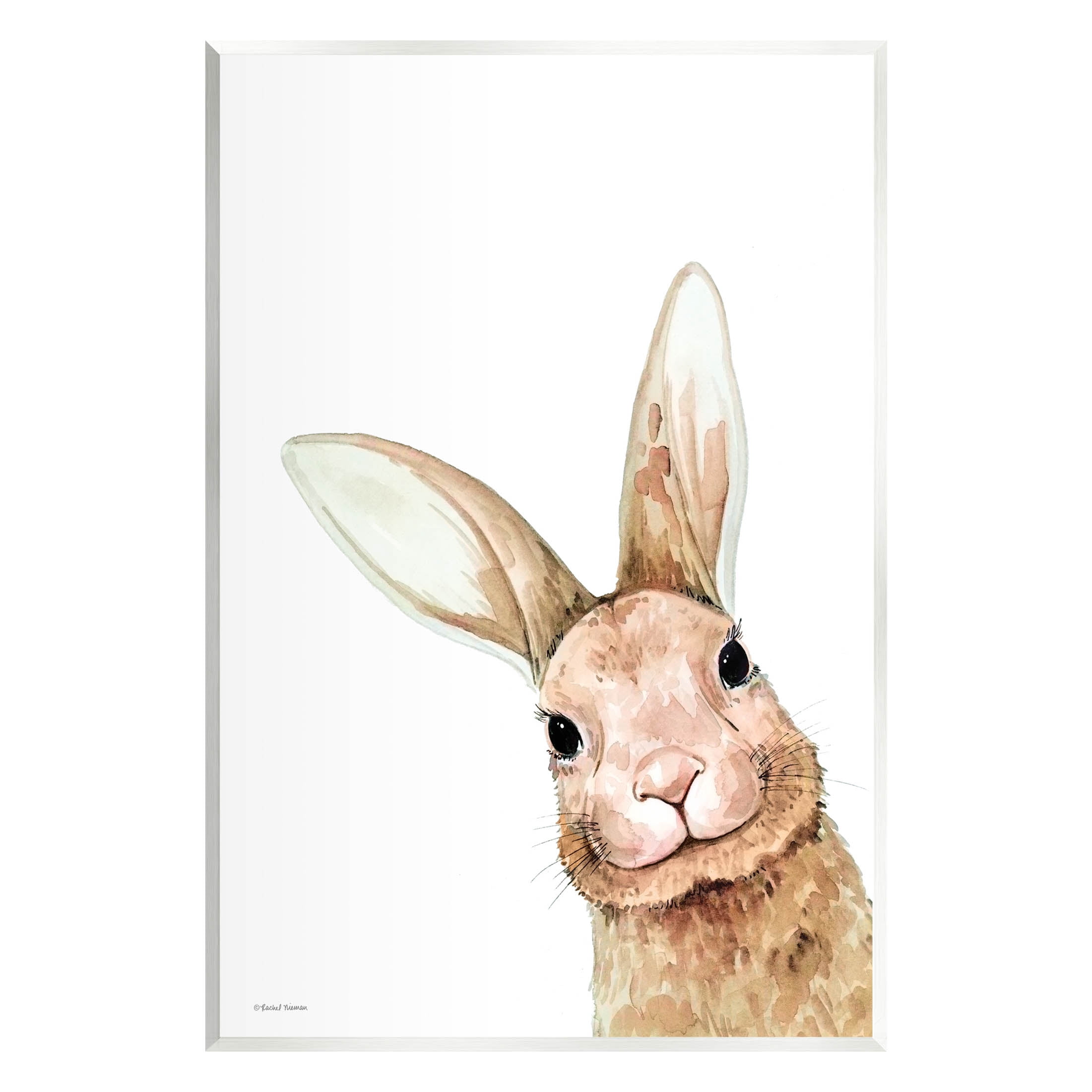 Stupell Industries Smiling Bunny Wildlife Graphic Art Unframed Art Print Wall Art, Design by Rachel Nieman