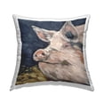 thumbnail image 1 of Stupell Industries Smiling Farm Pig Face Printed Throw Pillow Design by Sara G. Designs, 1 of 6