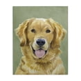 thumbnail image 1 of Stupell Industries Farmhouse Smiling Golden Retriever Portrait Canvas Art, 16 x 20, by Lil' Rue, 1 of 8