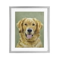thumbnail image 1 of Stupell Industries Farmhouse Smiling Golden Retriever Portrait Gray Framed Print Under Glass, 17 x 21, by Lil' Rue, 1 of 8