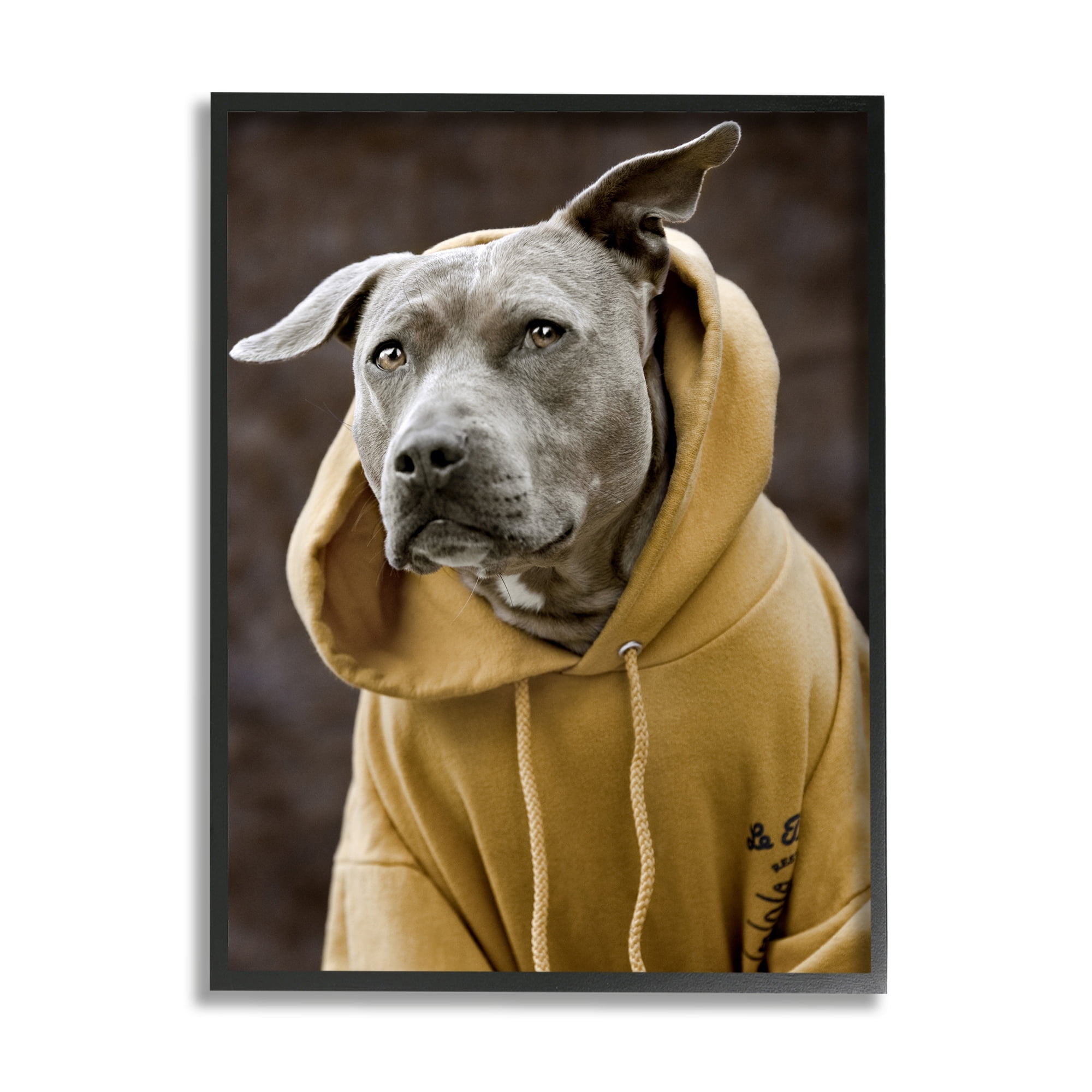 Stupell Industries Smiling Labrador Dog Wearing Hooded Yellow Sweatshirt Photograph Black Framed Art Print Wall Art, Design by Michael Brian