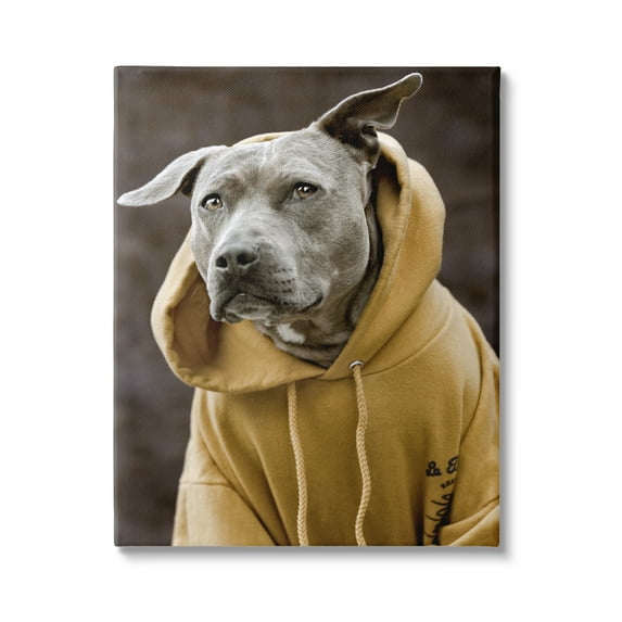 Stupell Industries Smiling Labrador Dog Wearing Hooded Yellow Sweatshirt Photograph Gallery Wrapped Canvas Print Wall Art, Design by Michael Brian