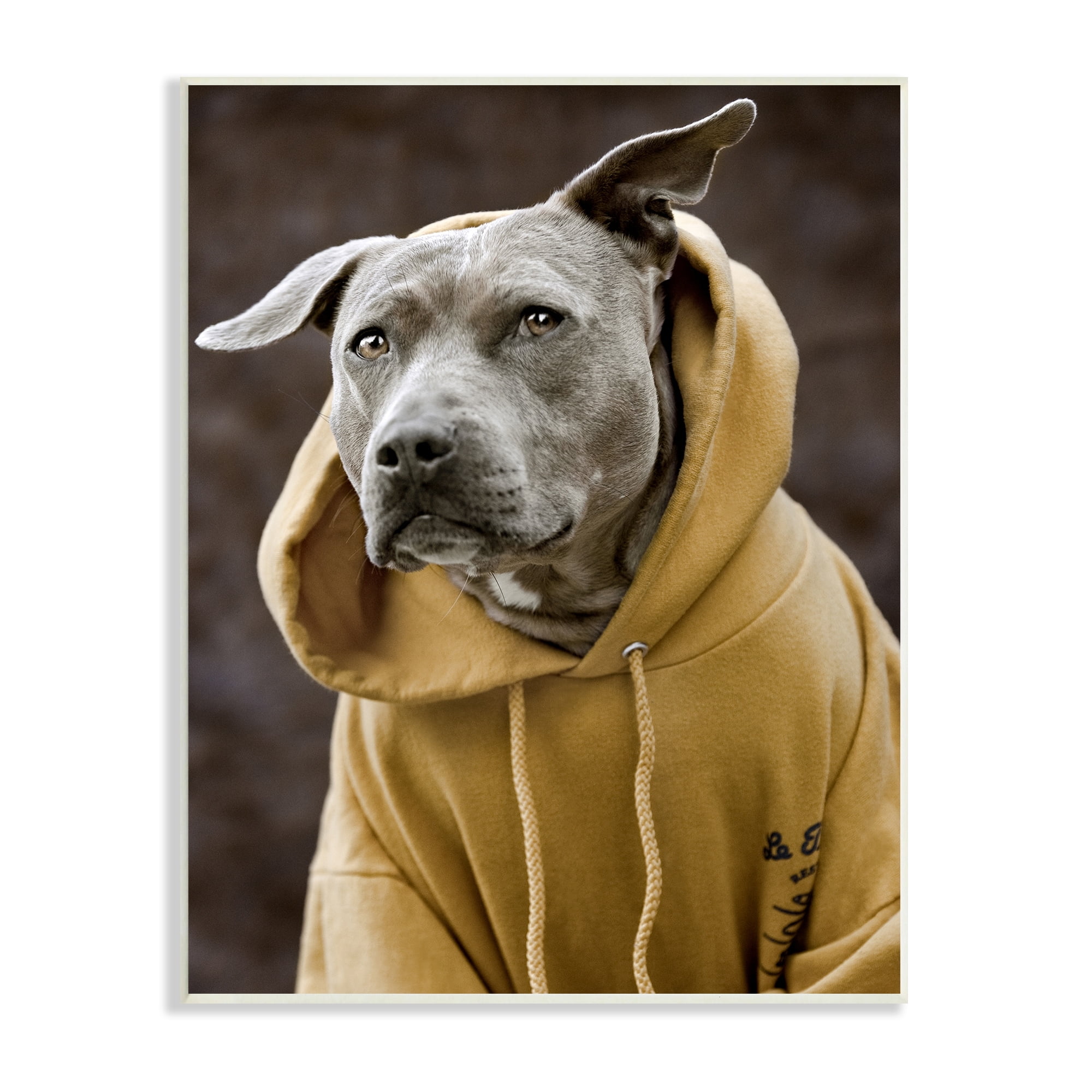 Stupell Industries Smiling Labrador Dog Wearing Hooded Yellow Sweatshirt Photograph Unframed Art Print Wall Art, Design by Michael Brian