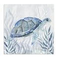 thumbnail image 1 of Stupell Industries Contemporary Smiling Turtle Gaze Canvas Art, 17 x 17, by Janet Tava, 1 of 8