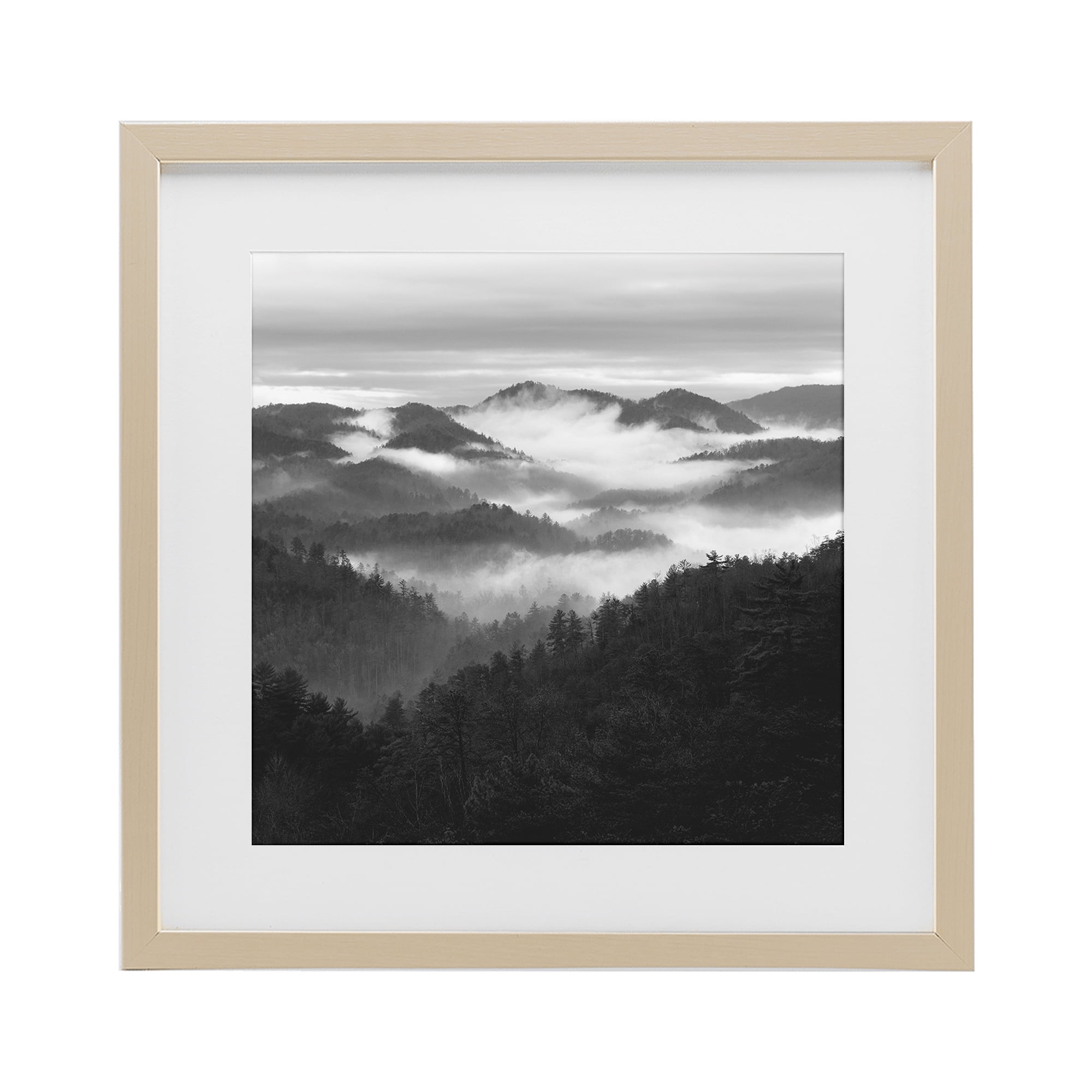 Stupell Industries Smoky Mountains Forest Birch Framed Print Under Glass, design by Nicholas Bell