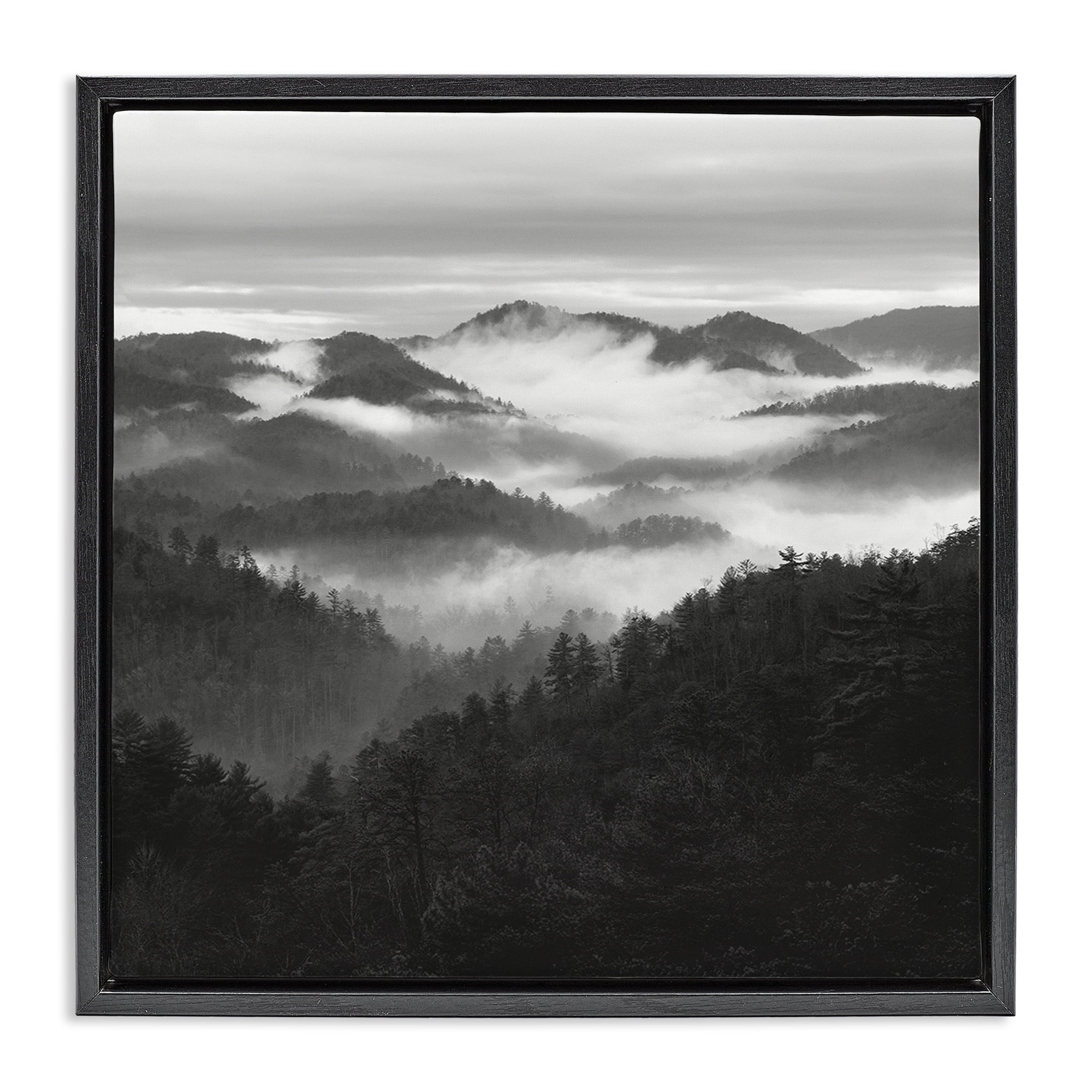 Stupell Industries Smoky Mountains Forest Black Framed Floater Canvas Wall Art, design by Nicholas Bell