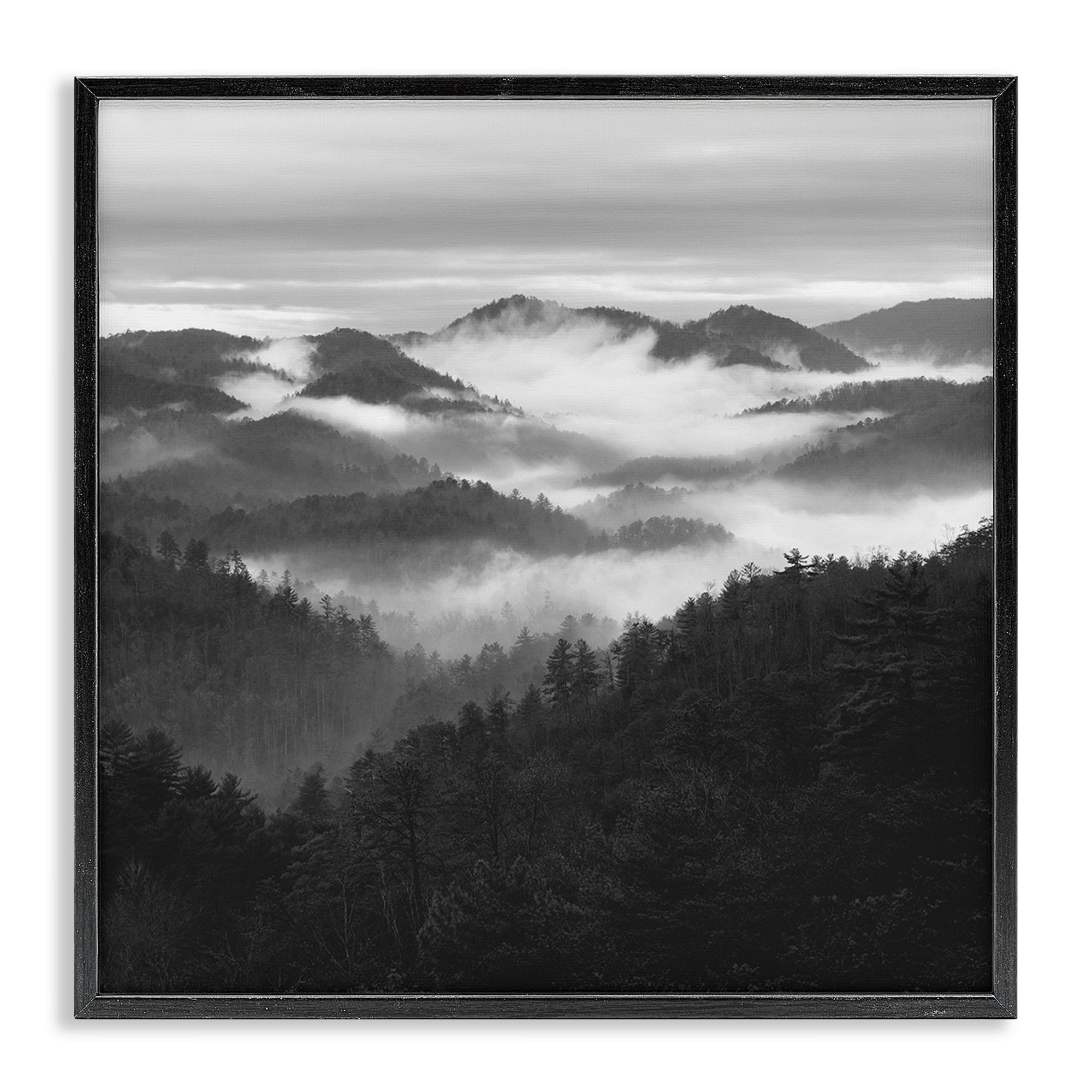 Stupell Industries Smoky Mountains Forest Black Framed Giclee Art, design by Nicholas Bell