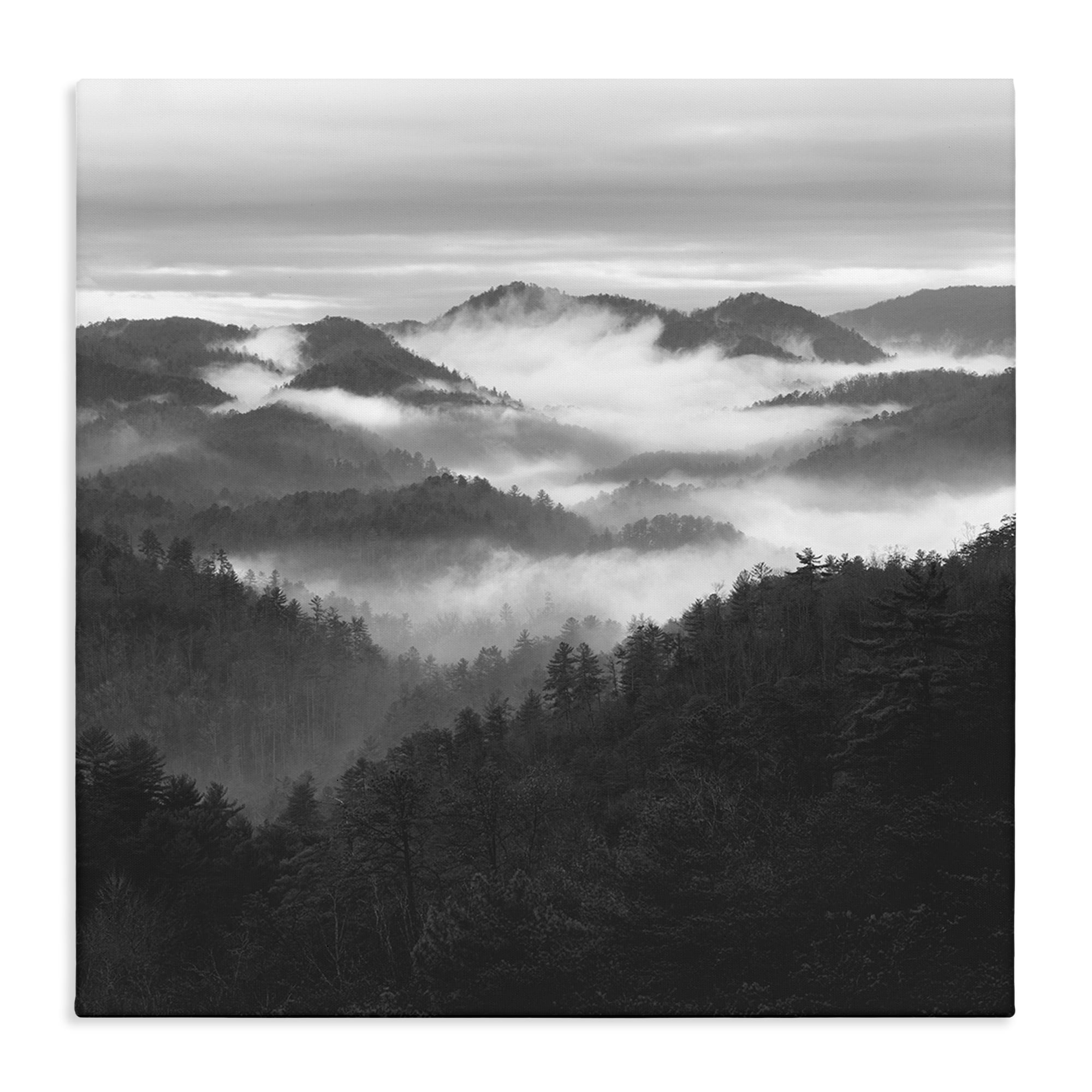 Stupell Industries Smoky Mountains Forest Canvas Wall Art, design by Nicholas Bell