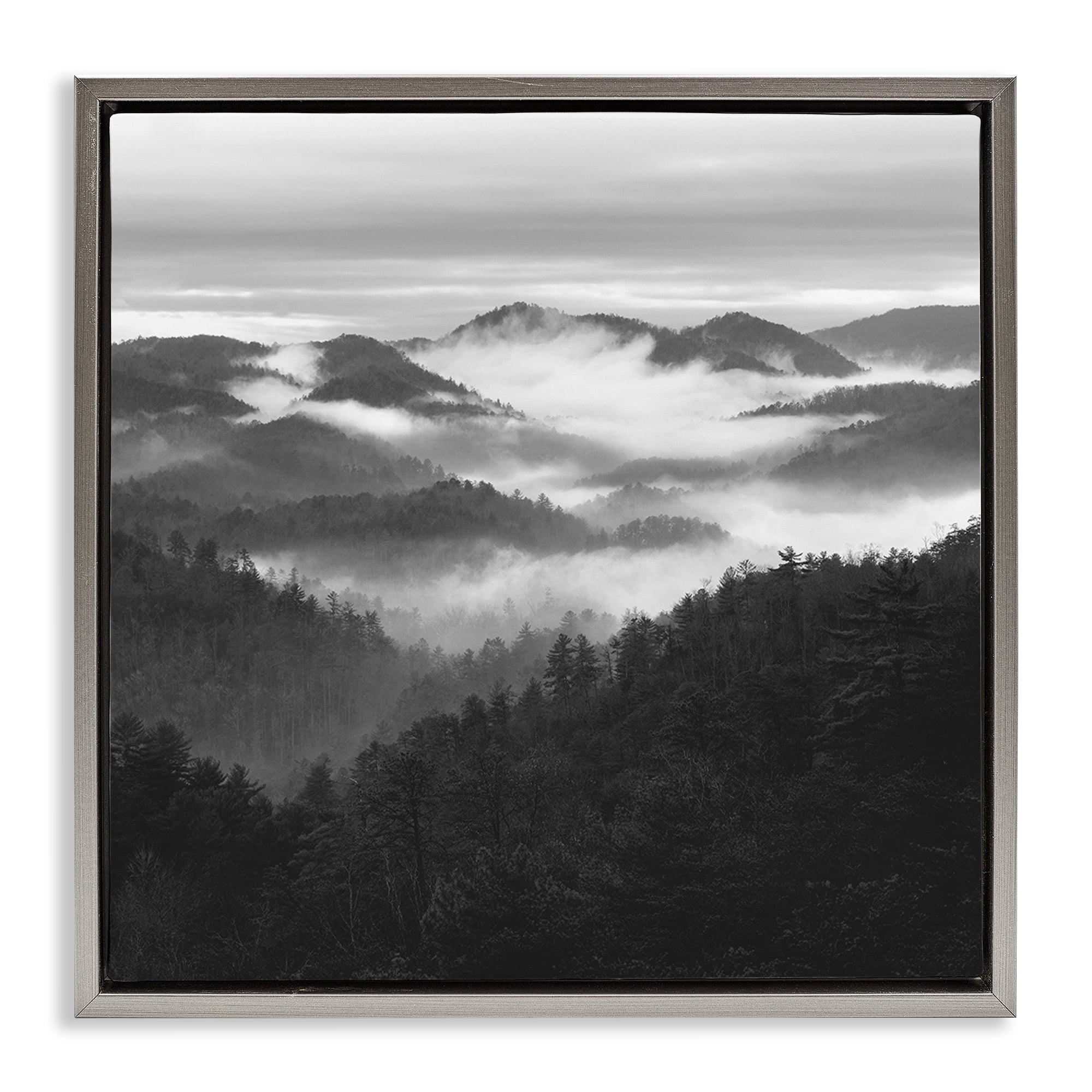 Stupell Industries Smoky Mountains Forest Gray Framed Floater Canvas Wall Art, design by Nicholas Bell