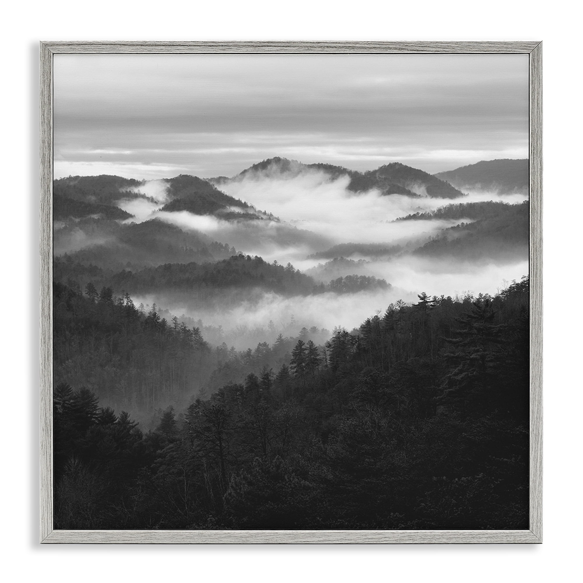 Stupell Industries Smoky Mountains Forest Gray Framed Giclee Art, design by Nicholas Bell