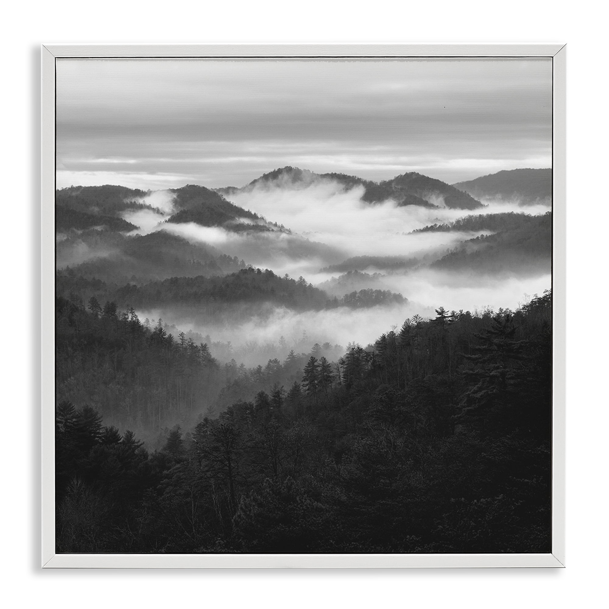 Stupell Industries Smoky Mountains Forest White Framed Giclee Art, design by Nicholas Bell