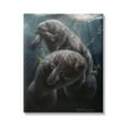 thumbnail image 1 of Stupell Industries Snack Time Manatees Underwater Coastal Painting Gallery Wrapped Canvas Print Wall Art, 1 of 5