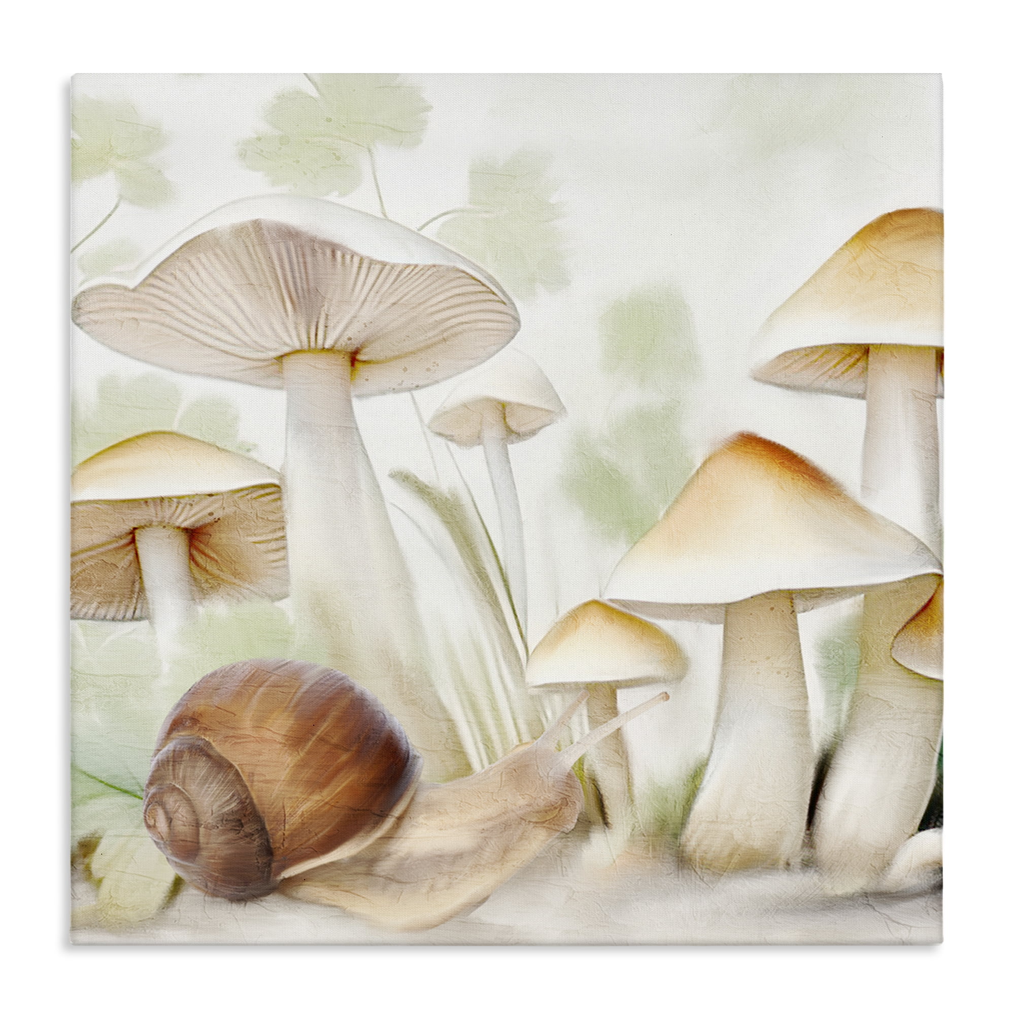 Stupell Industries Snail Among Mushrooms Plants & Flowers Painting Wrapped Canvas Art Print Wall Art, 24 x 24