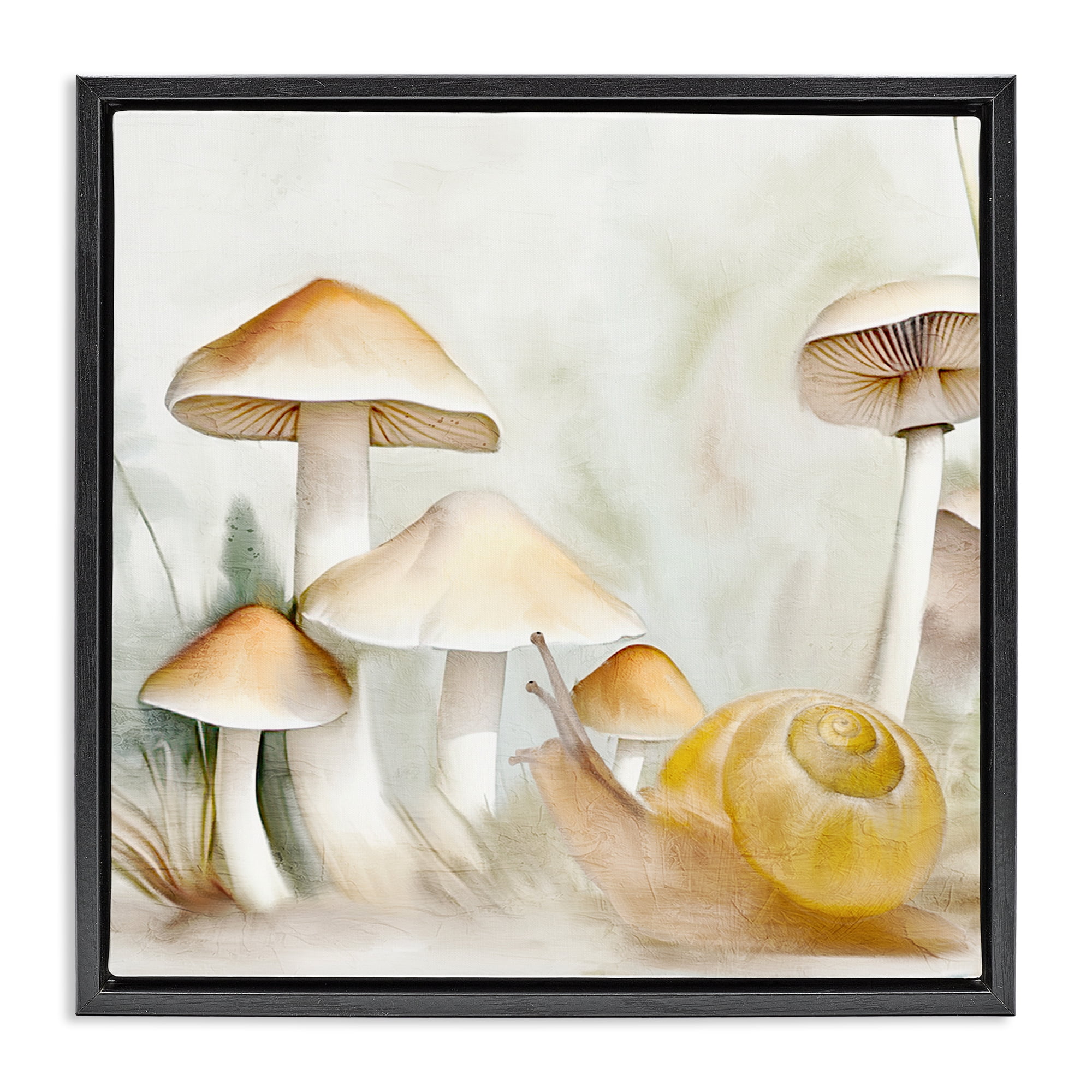 Stupell Industries Snail & Natural Mushrooms Plants & Flowers Painting Black Floater Framed Canvas Art Print Wall Art, 18 x 18
