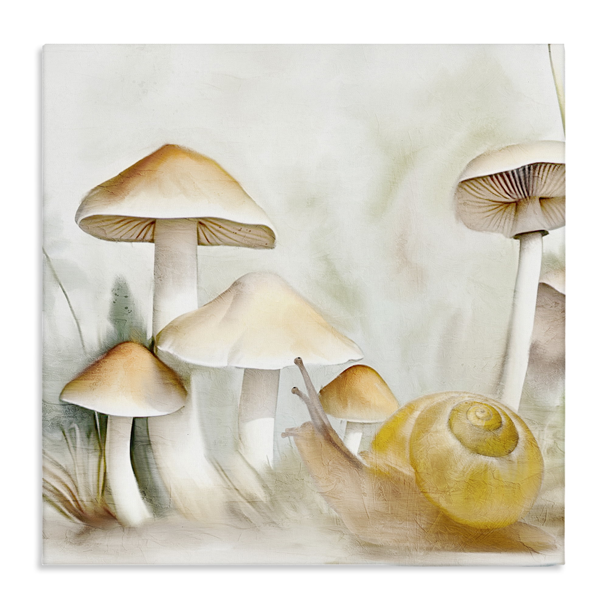 Stupell Industries Snail & Natural Mushrooms Plants & Flowers Painting Wrapped Canvas Art Print Wall Art, 24 x 24