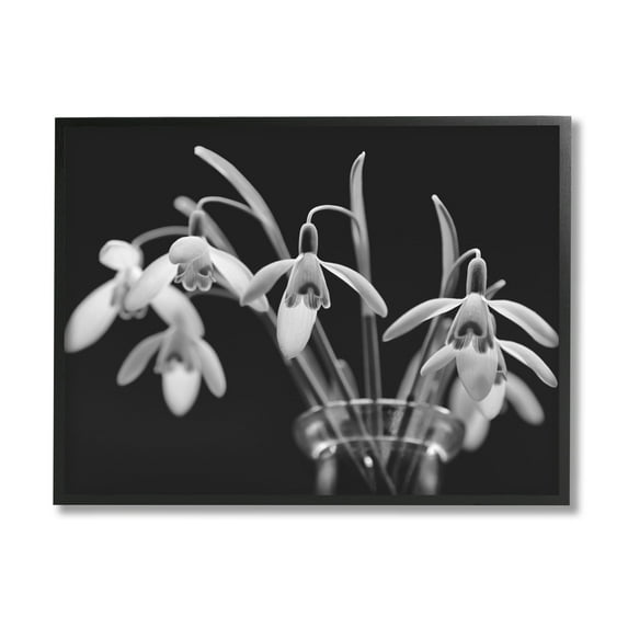 Stupell Industries Snow Drops Flower Photography Botanical & Floral Photography Black Framed Art Print Wall Art