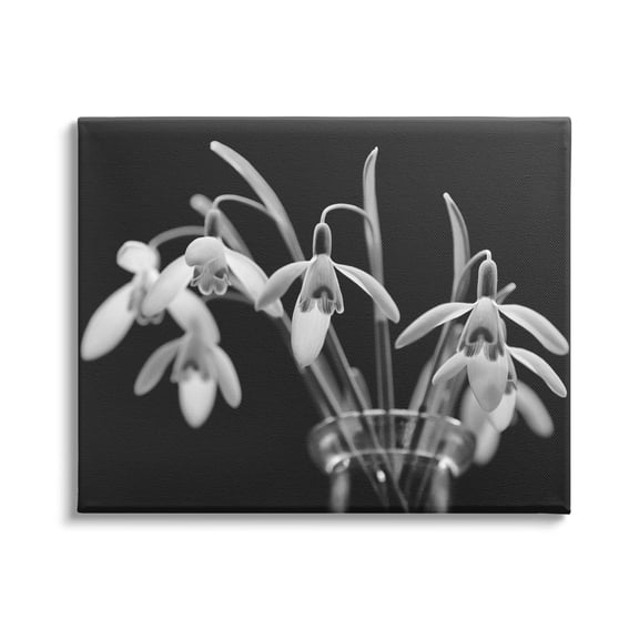 Stupell Industries Snow Drops Flower Photography Botanical & Floral Photography Gallery Wrapped Canvas Print Wall Art