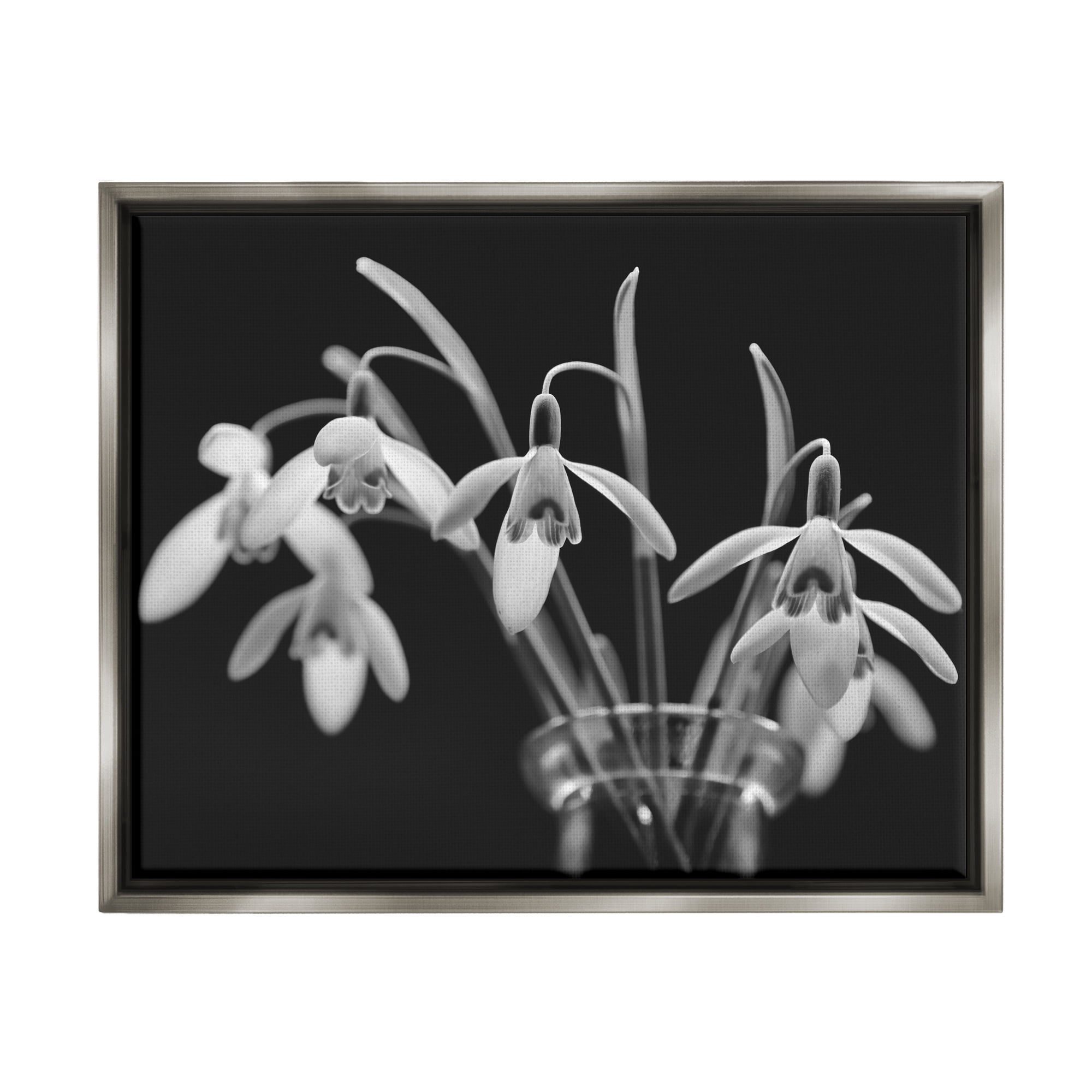 Stupell Industries Snow Drops Flower Photography Botanical & Floral Photography Gray Floater Framed Art Print Wall Art