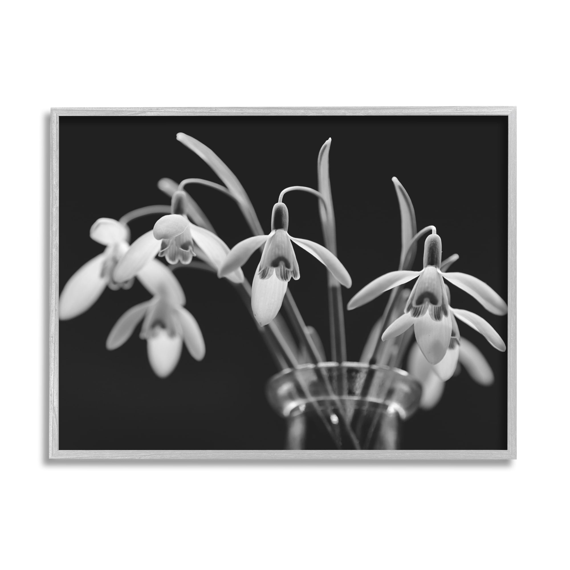 Stupell Industries Snow Drops Flower Photography Botanical & Floral Photography Gray Framed Art Print Wall Art