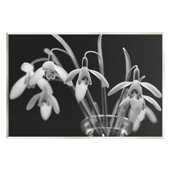 Stupell Industries Snow Drops Flower Photography Botanical & Floral Photography Unframed Art Print Wall Art